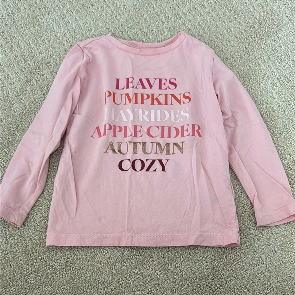J. Crew Pink Long Sleeve Tees Autumn Collection